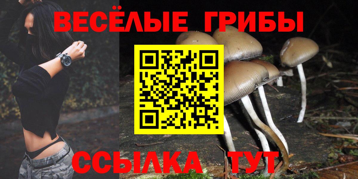 Псилоцибиновые грибы Cubensis  Галлюциногенные грибы Magic Shrooms  дарнет шоп  Вход с VPN  Рыбинск 